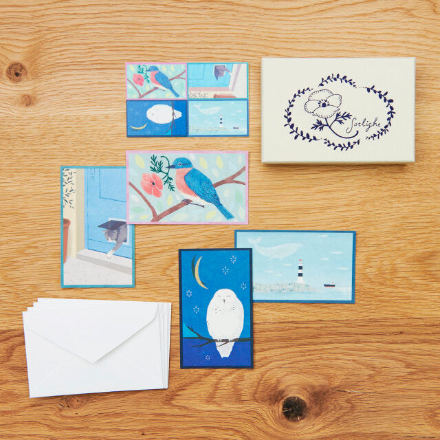 sotlight COLOR CARDS BOX / BLUE