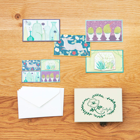 sotlight COLOR CARDS BOX / GREEN